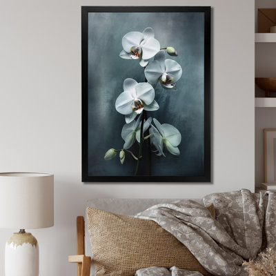 Orchidées exotiques blanches II