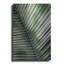 «Palm Frond I Green» par Debra Van Swearingen-1215823225
