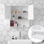 Ledel Wall Bathroom Cabinet
