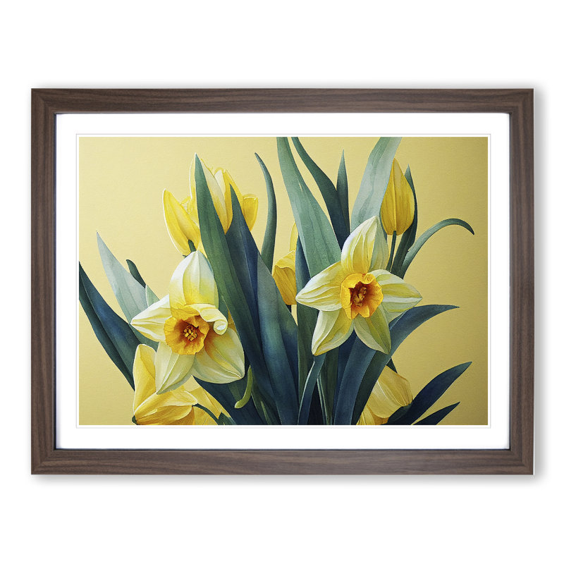 Contoured Daffodil Flowers - Framed Print, 25cm H x 34cm W x 2cm D, Walnut