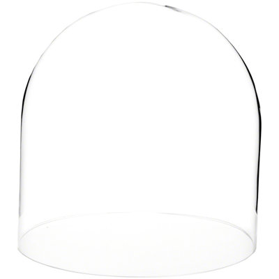 Vucciria 11.75" x 12" Glass Display Dome Cloche