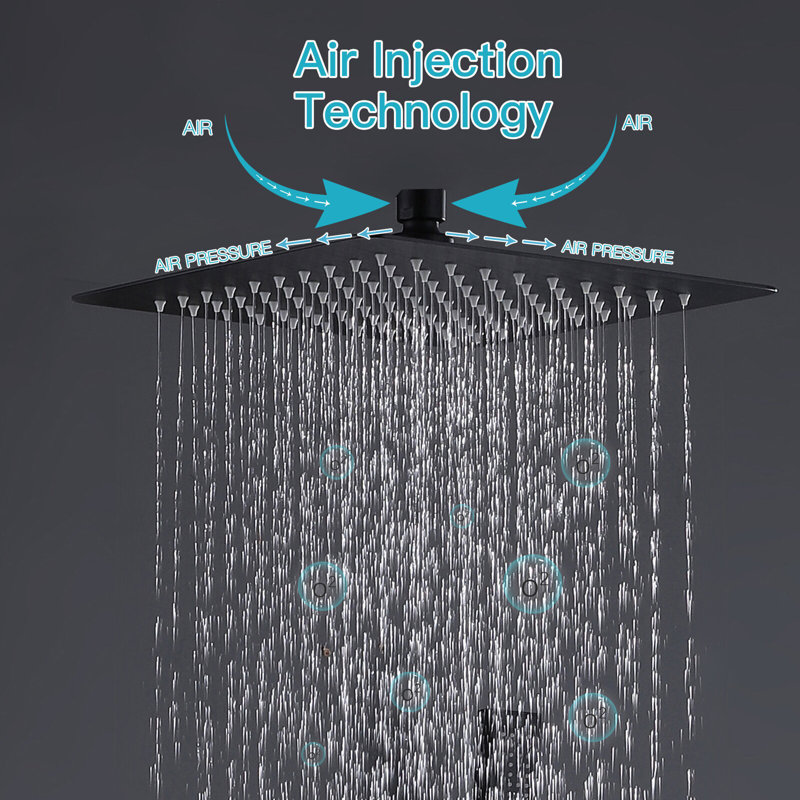 Adjustable Rain Shower 1.5 GPM GPM, Matte Black