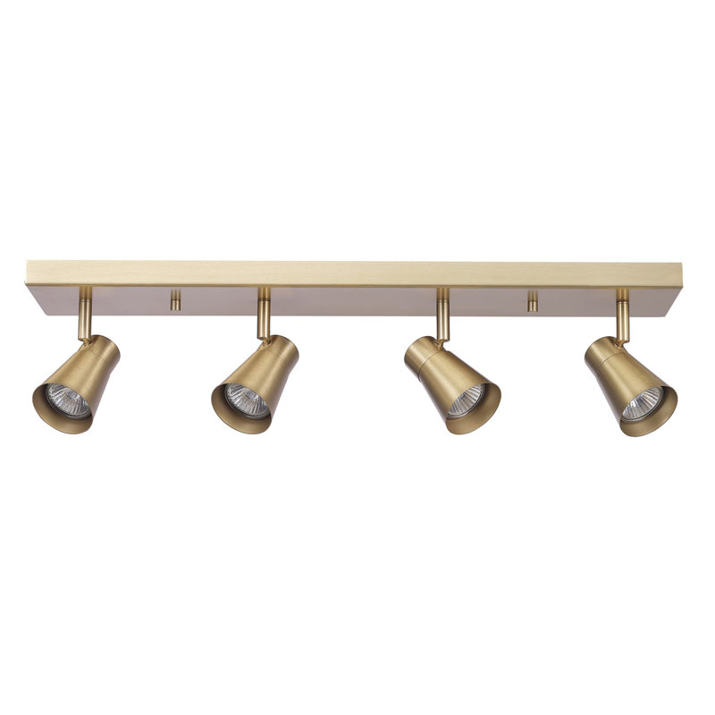 Rayjean 25'' 4 -Light Fixed Track Track Kit with Dimmable and Adjustable Head
