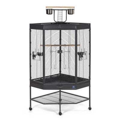 Cage à oiseaux d'angle