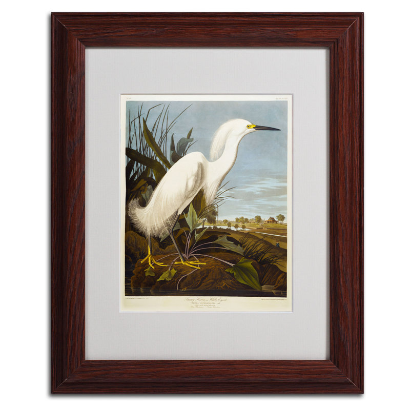 John Audubon - Cadre photo, reproduction d'art sur toile, H 14 po x l 11 po, Brun