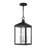 Inniss 3 - Light Outdoor Hanging Lights-24100151-34439995