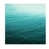 Wall paper Mural selected