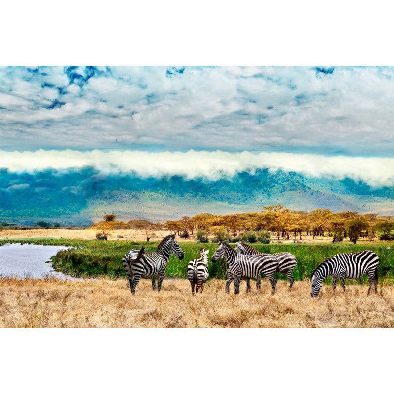 Zebras Of Ngorongoro Crater by Chuvipro - No Frame Art Prints on Canvas, 20cm H x 30cm W