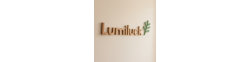 Logo Lumiluck