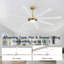  Ventilateur de plafond d'intérieur à 8 pales avec lumière DEL et télécommande-1579120989-1595886324-1595886333