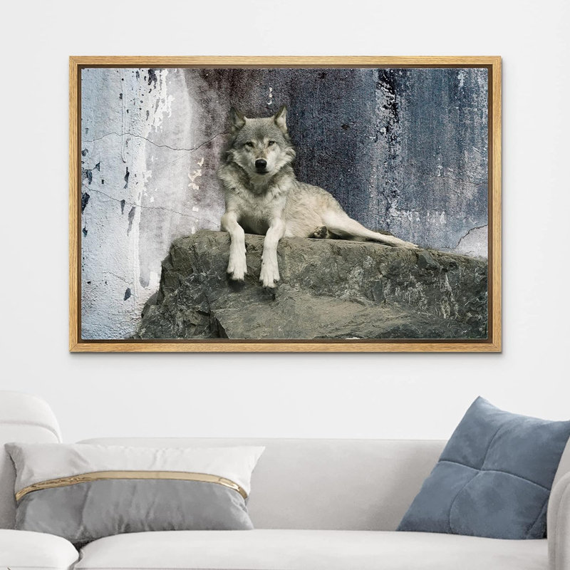 Animaux, loup couché sur un rocher sur toile, H 24 po x l 36 po, Encadré naturel