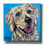 «Furry Dog Friend 1» par Carolee Vitaletti-1573448379