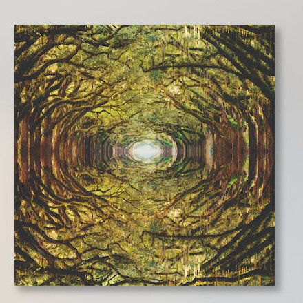 « codomines i », impression sur toile, H 12 po x l 12 po x P 0,75 po