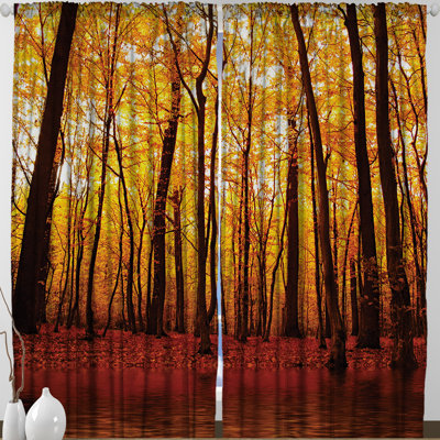 Curtain