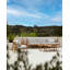 Quatro Outdoor Round Teak-118105063