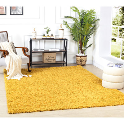 Shag Area Rug