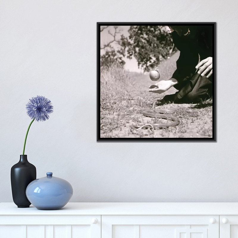 « original sin », reproduction de photo sur toile, H 18 po x l 18 po x P 1,5 po, Toile avec cadre noir, Non mat