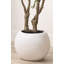 250cm Faux Tree in Cement Pot