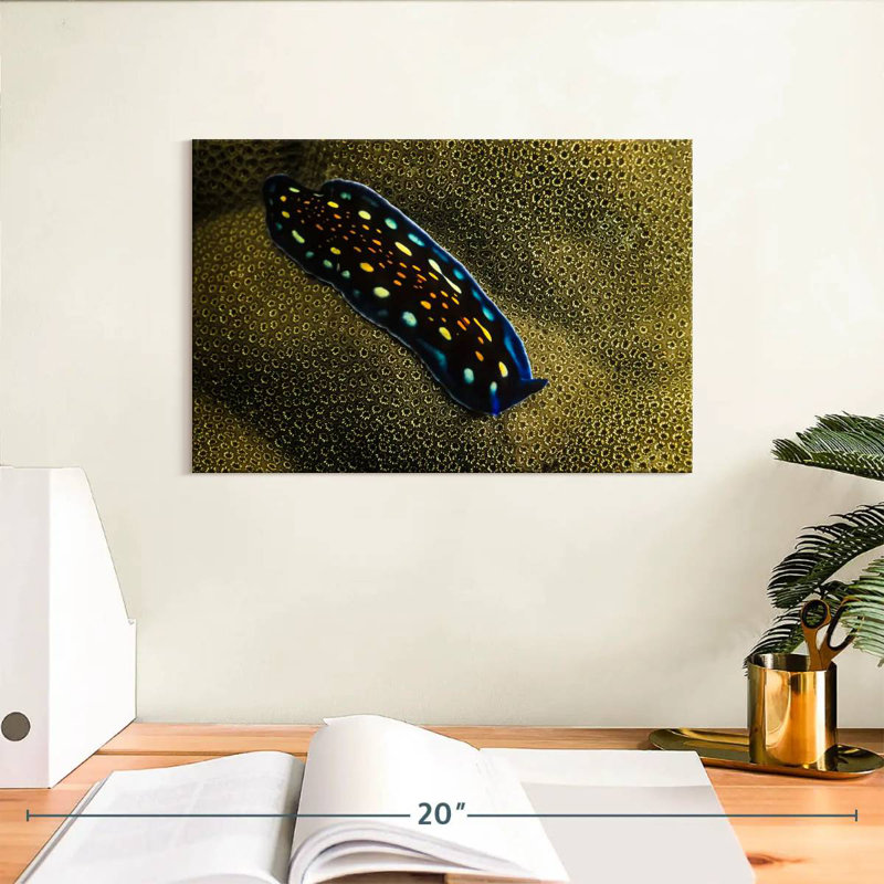Linda's Flatworm, 8" H x 12" W