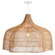 Single Light Rattan Wrought Iron Dimmable Pendant