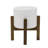 Ardelia Ceramic Pot Planter