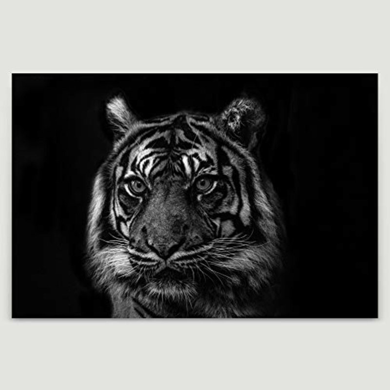 Signature signée Tiger, H 12 po x l 18 po