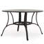 Table d'extérieur en fonte d'aluminium bronze foncé avec complexe antique