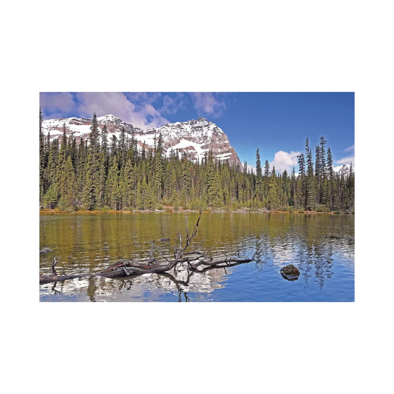 Little Lake O'Hara by Brian Wolf - Wrapped Canvas Print, 20.32 cm H x 30.48 cm W