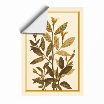 Single Stem Study Botanical - Framed Print