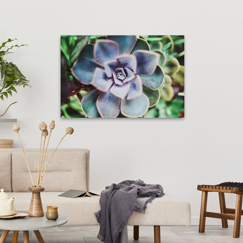 Plants, Flowers, Landscape, Nature, Succulence Beauty Wall Art, 24" H x 36" W