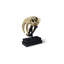 Saber Tooth Tiger Skull-42650008