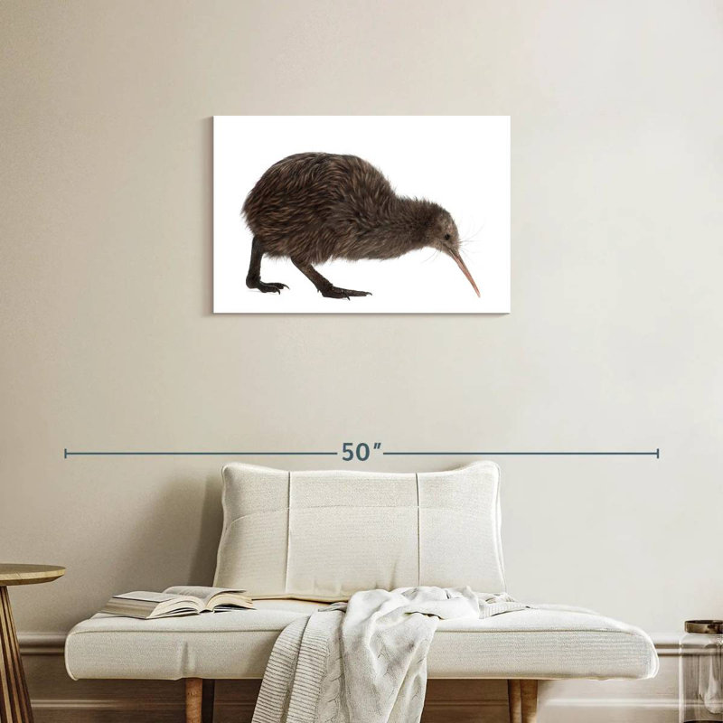 Kiwi Bird, 20" H x 30" W