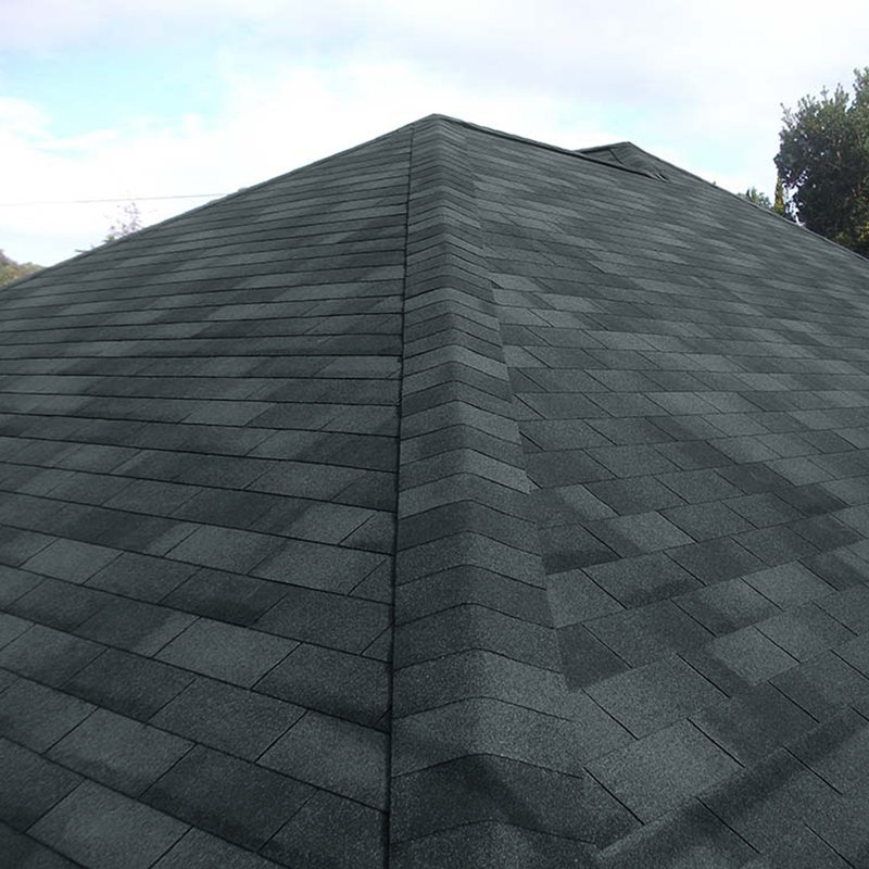 Breeins Rust Resistant Asphalt Roofing Kit