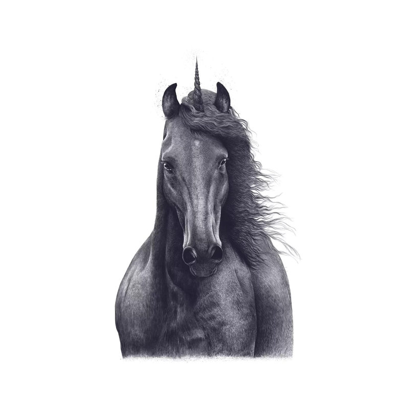 «Unicorn» par Valeriya Korenkova, impression sur toile tendue, H 26 po x l 18 po x P 1,5 po
