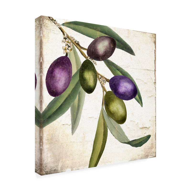 Art sur toile, branche bolognaise, olive, H 14 po x l 14 po