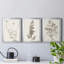 Neutral Botanical Study IV - Ensemble de 3 impressions sur toile encadrées-1770476220-1770476219