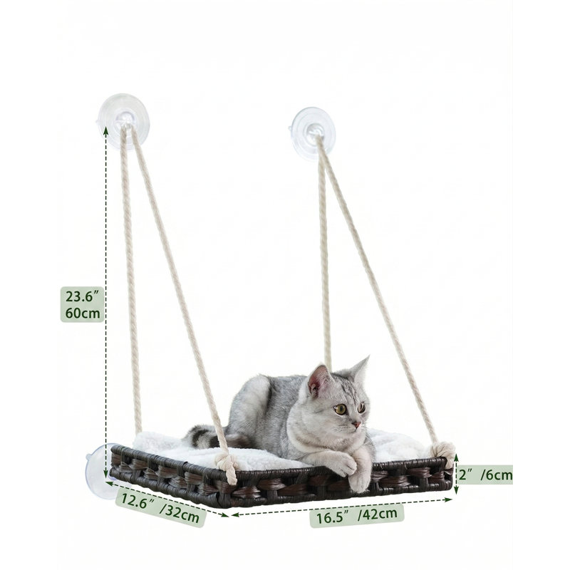 Réservoir incurvé de dragon barbu incurvé de 80 gallons, 3 panneaux latéraux en acrylique transparent, enceinte spacieuse avec lézard en métal et porte verrouillable, longueur 48 po