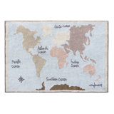 Cotton Area Rug in Blue/Brown/Gray/Beige