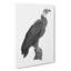 Vulture Illustration - Wrapped Canvas Print-55301793