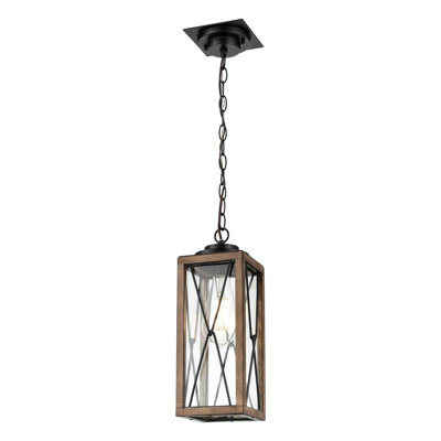 Apison Outdoor Hanging Lantern
