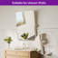 Miroir Parren-726003834-718202749