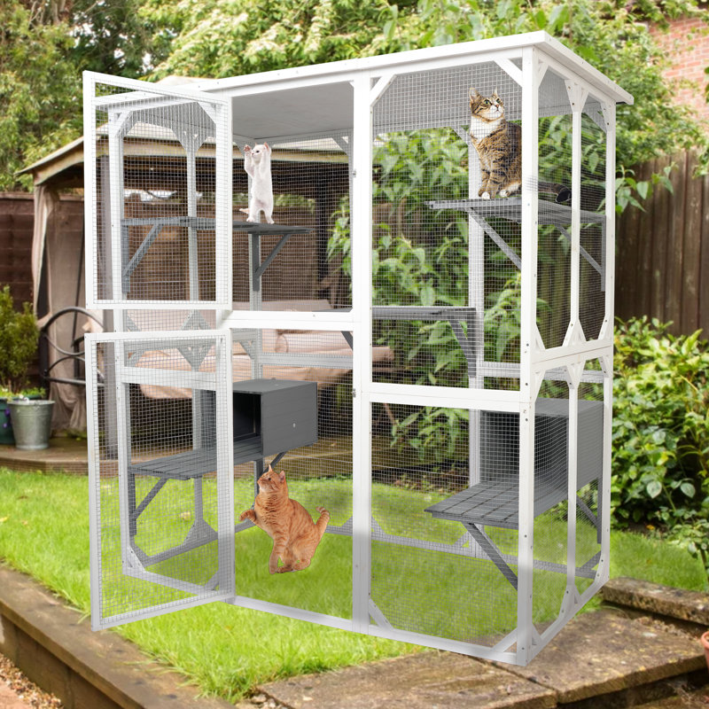 Cage moyenne pour animal de compagnie, boîte blanche en bois pour une utilisation à long terme, compagnons aimants