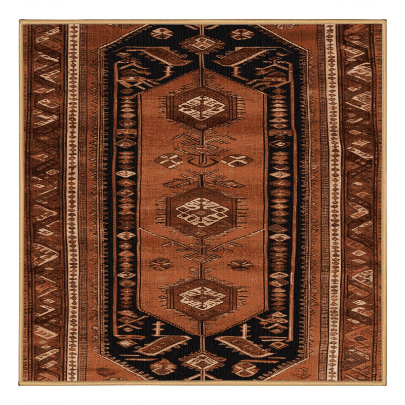 Machine Washable Turkish Brown Area Rug, Square 3'