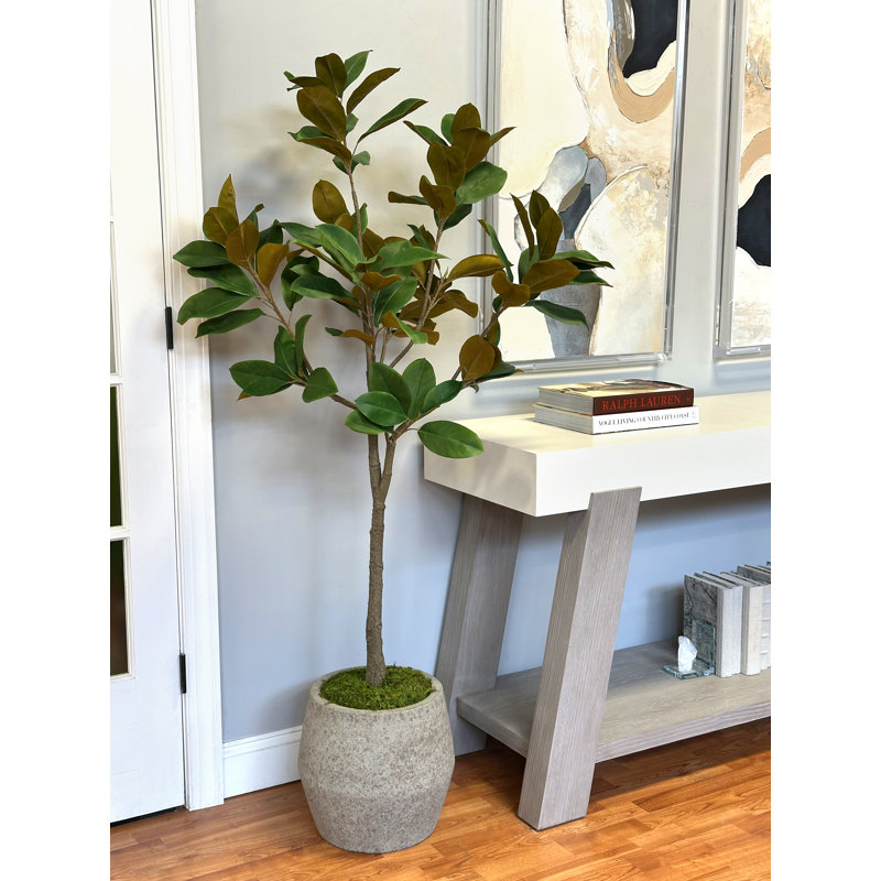 Magnolia d'extérieur classé UV dans un pot en pierre