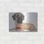 «Mastiff Red Ball» par Danny Gordon-291262798