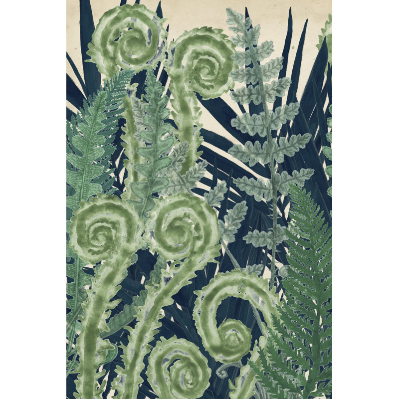 Fiddlehead Waltz I by Naomi McCavitt - Wrapped Canvas Painting, 76cm H x 51cm W