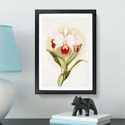 Magnolia Flowers Illustration Tab. 46 by Frederick Sander - Picture Frame Painting Print