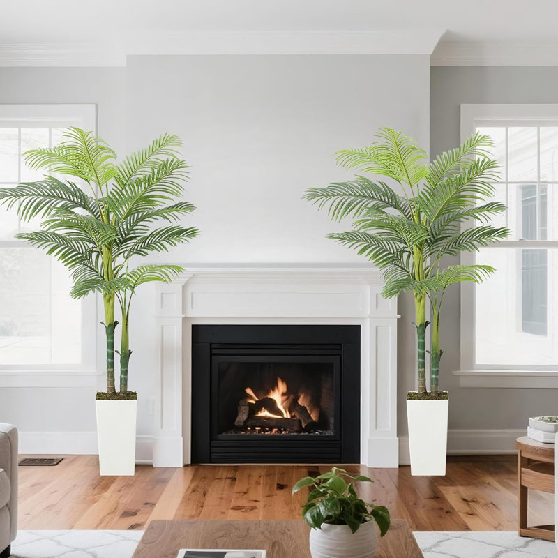 59.06cm Plant