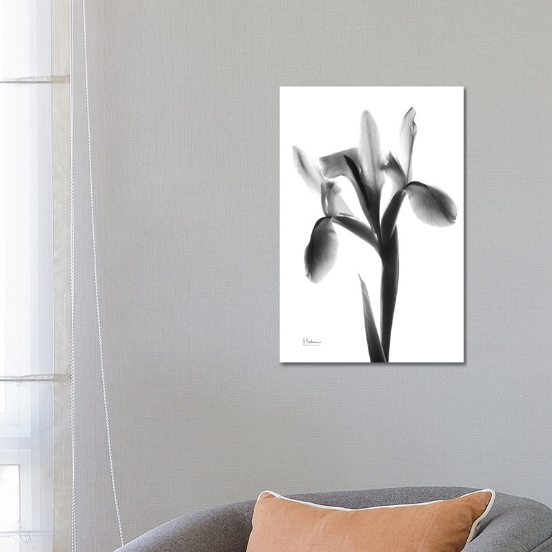 Midnight Le Fleur by Albert Koetsier - Wrapped Canvas Print, 66.04 cm H x 45.72 cm W x 3.175 cm D