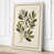 Cream Border